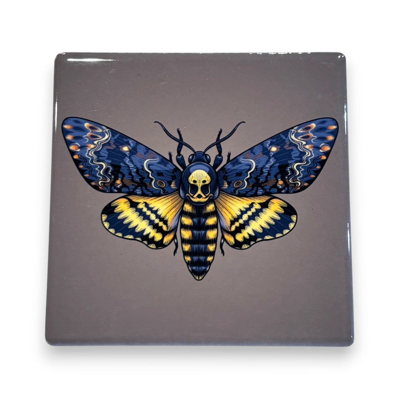 Printed Ceramic Drink Coaster - deathshead hawkmoth