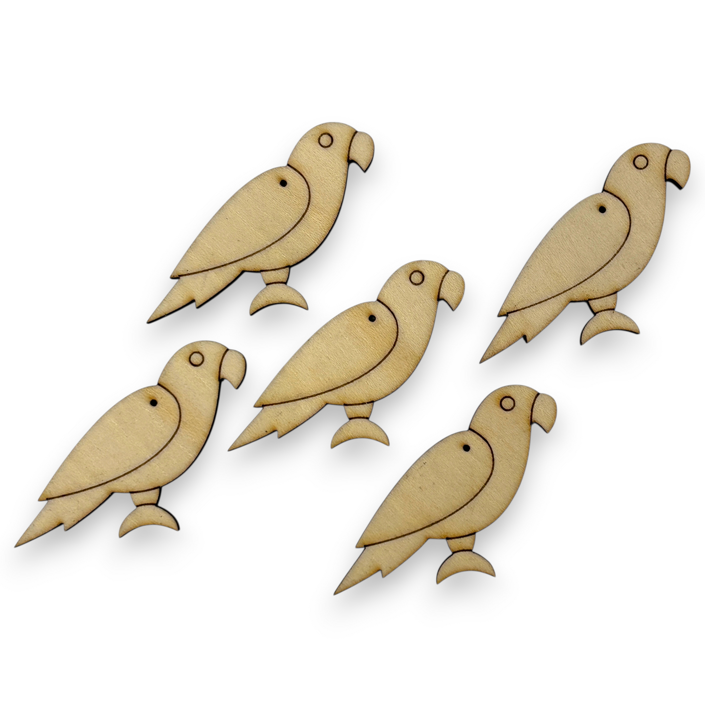 Wooden Bird Key Ring & Bag Tag Blanks for DIY, Set of 5