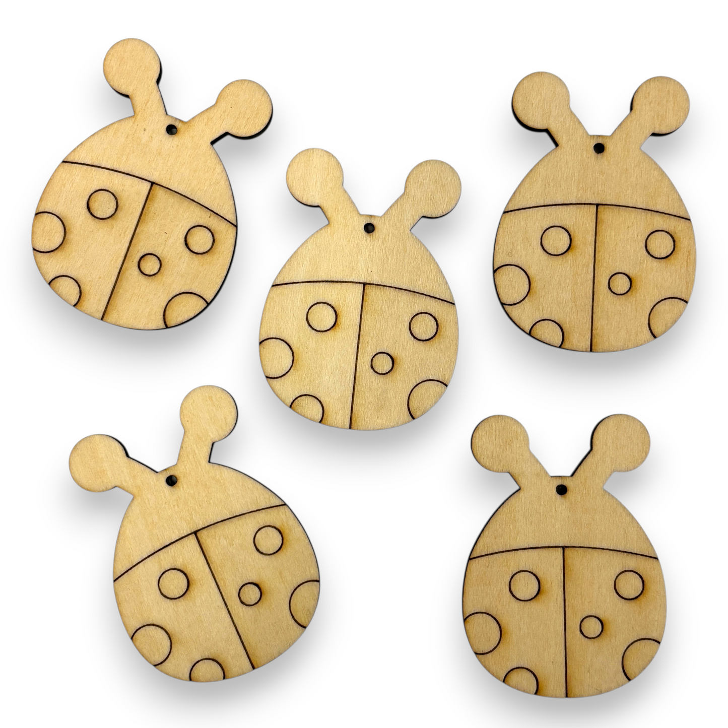 Wooden Ladybug Key Ring & Bag Tag Blanks for DIY, Set of 5