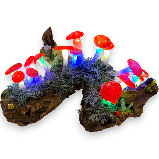 Mushroom lamp / night light - fairy garden on natural driftwood