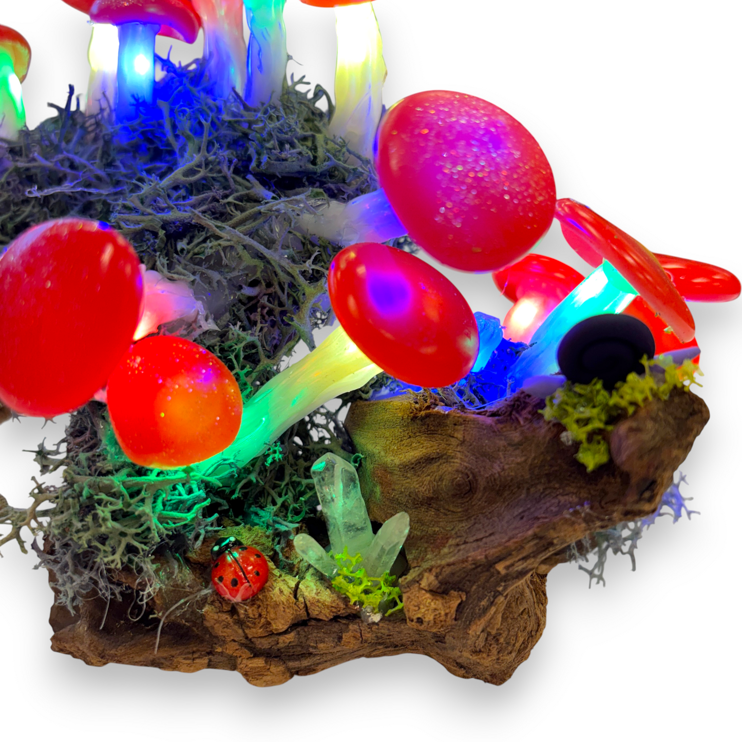Mushroom lamp / night light - fairy garden on natural driftwood