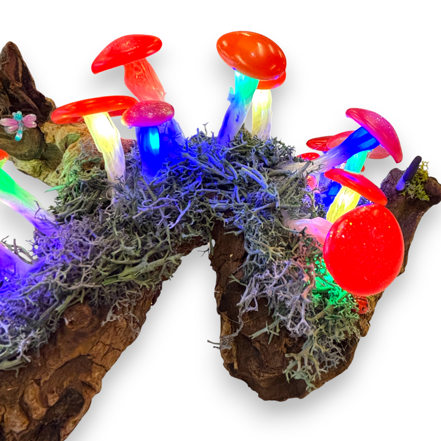 Mushroom lamp / night light - fairy garden on natural driftwood