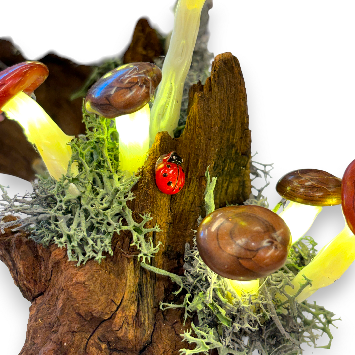 Mushroom lamp / night light - fairy garden on natural driftwood